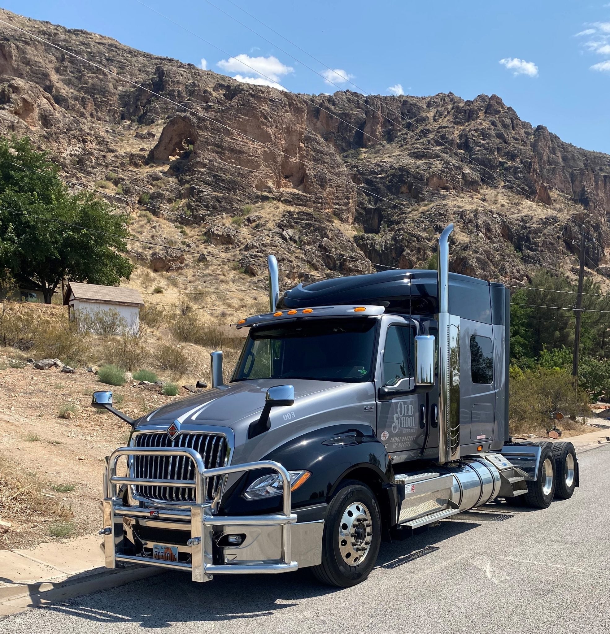 Internatial LT/Prostar Grille Guards Route One Trailers